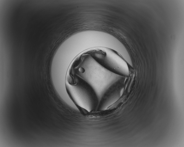 X0000087580546200705251843