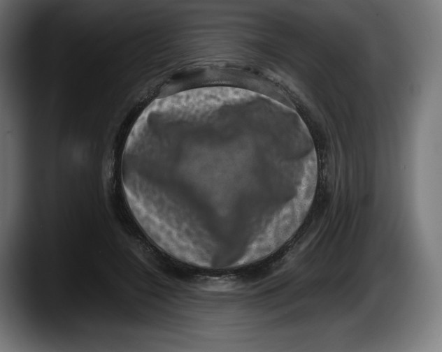 X0000087580548200705251843