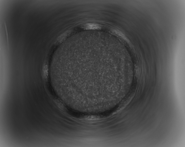 X0000087580549200705251843