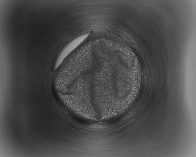 X0000087580550200705251843