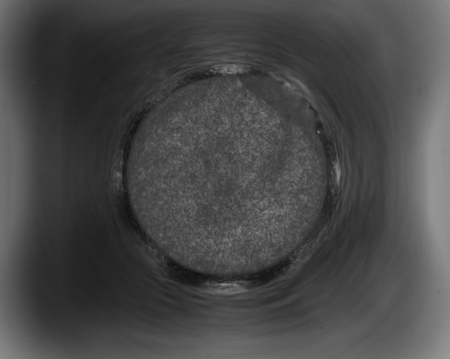 X0000087580553200705251843