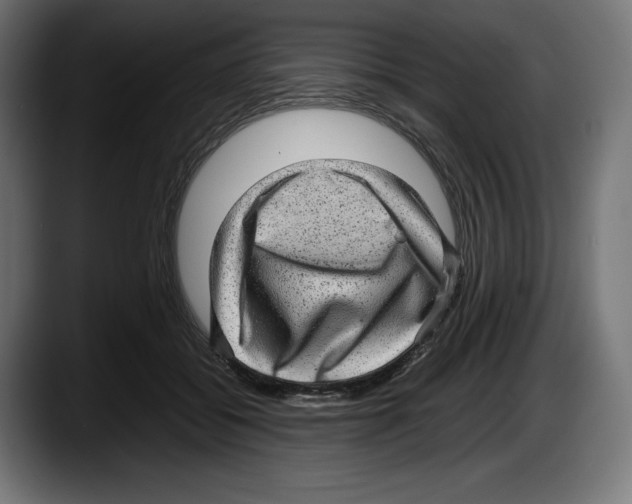 X0000087580556200705251843