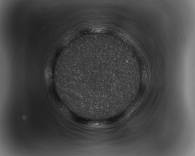 X0000087580557200705251843
