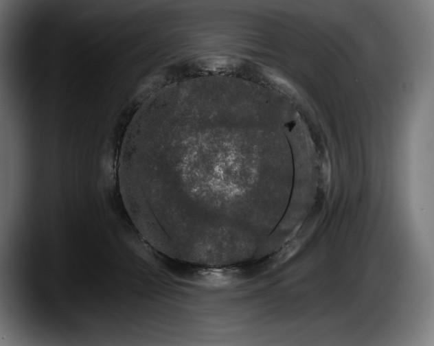 X0000087580558200705251843