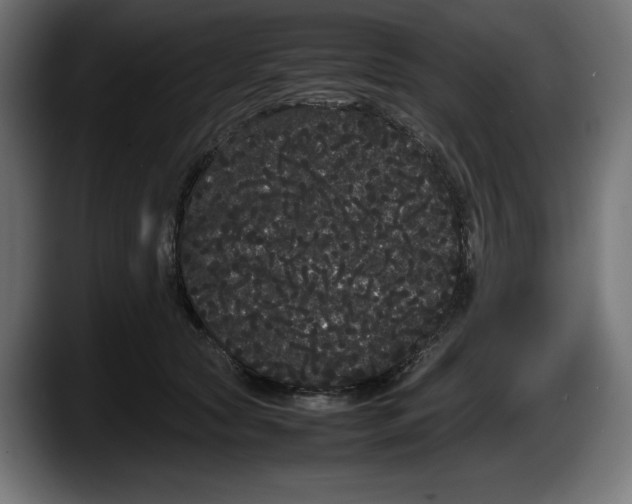 X0000087580561200705251843