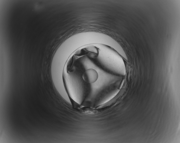 X0000087580566200705251843