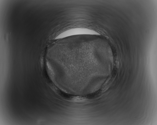 X0000087580568200705251843