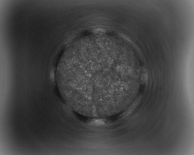 X0000087580573200705251843