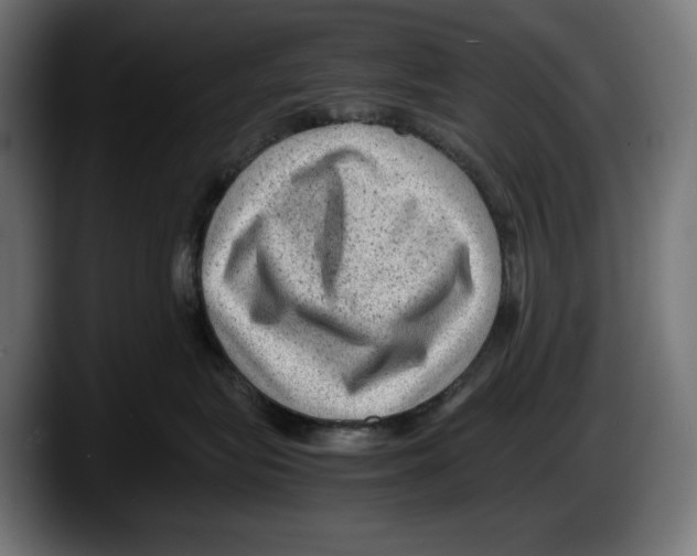 X0000087580575200705251843