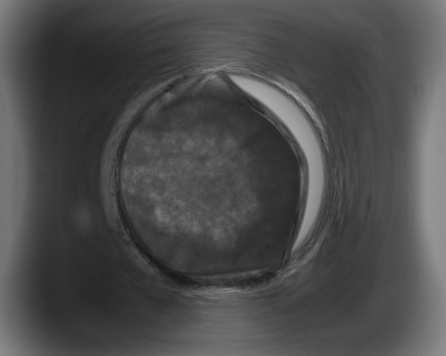 X0000087580577200705251843
