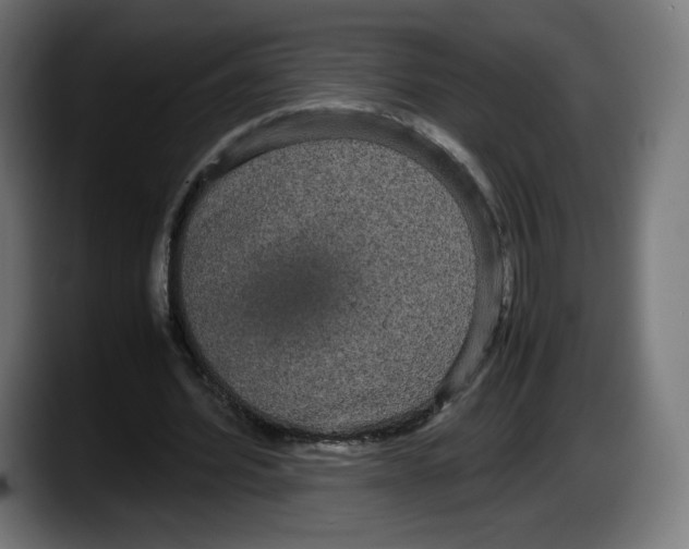 X0000087580580200705251843