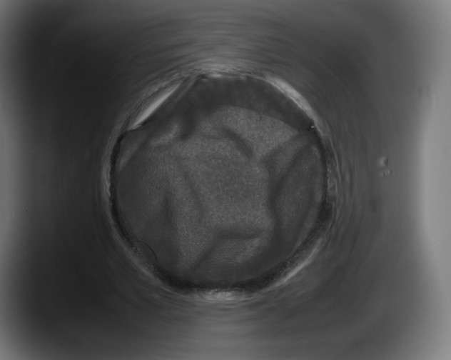 X0000087580581200705251843