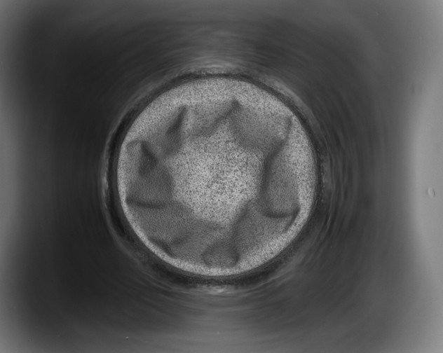X0000087580582200705251843