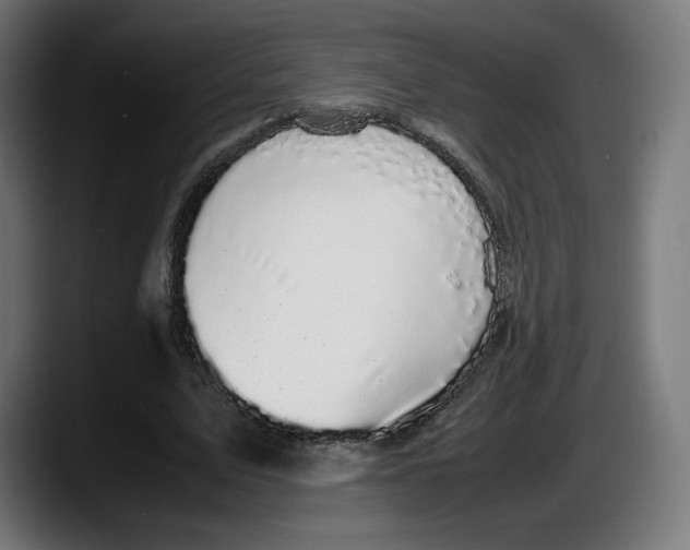 X0000087580583200705251843