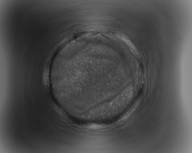 X0000087580585200705251843