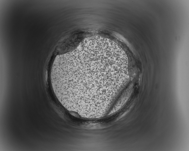 X0000087580589200705251843