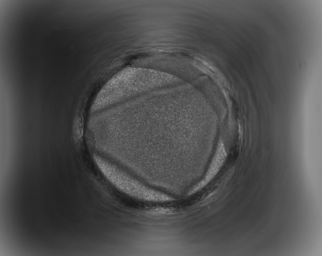 X0000087580593200705251843