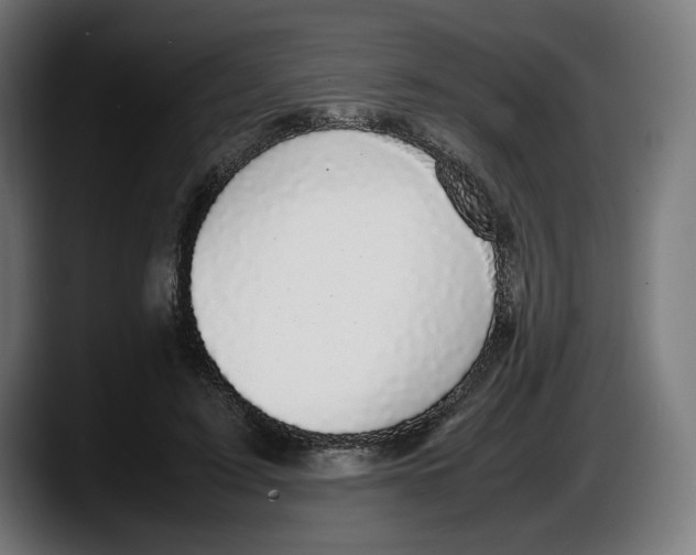 X0000087580595200705251843