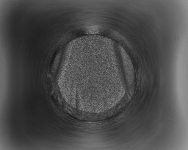 X0000087580598200705251843