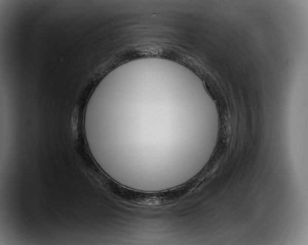 X0000087580600200705251843