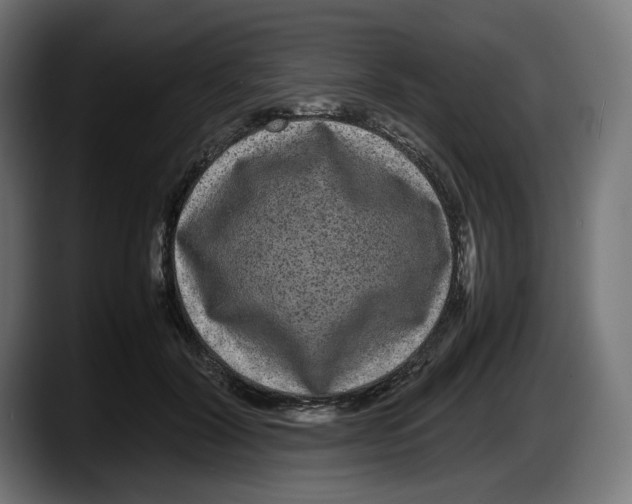 X0000087580604200705251842