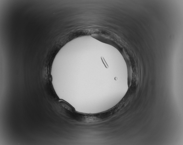 X0000087580605200705251842
