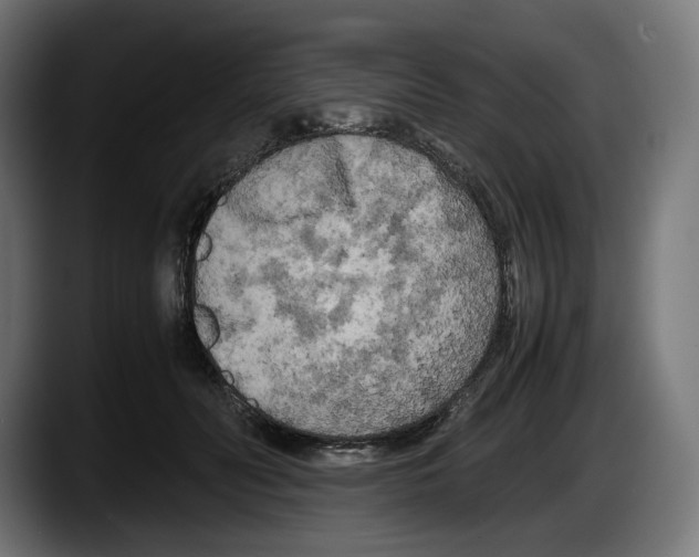 X0000087580606200705251842