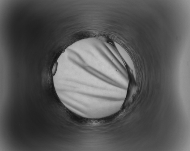 X0000087580613200705251842