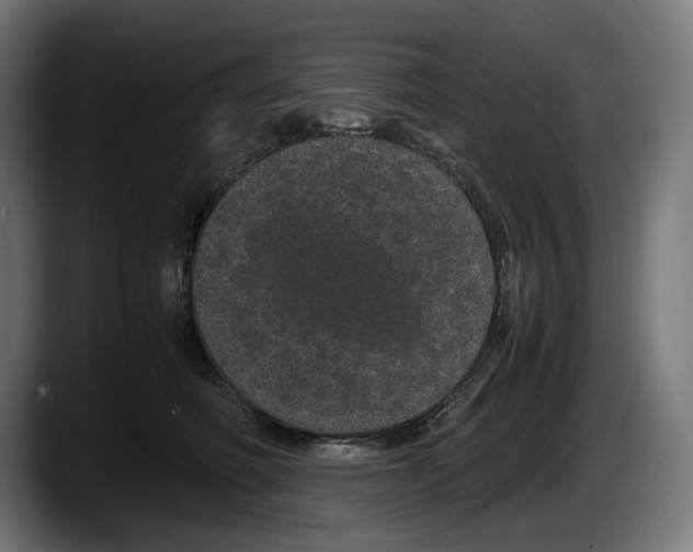 X0000087580614200705251842