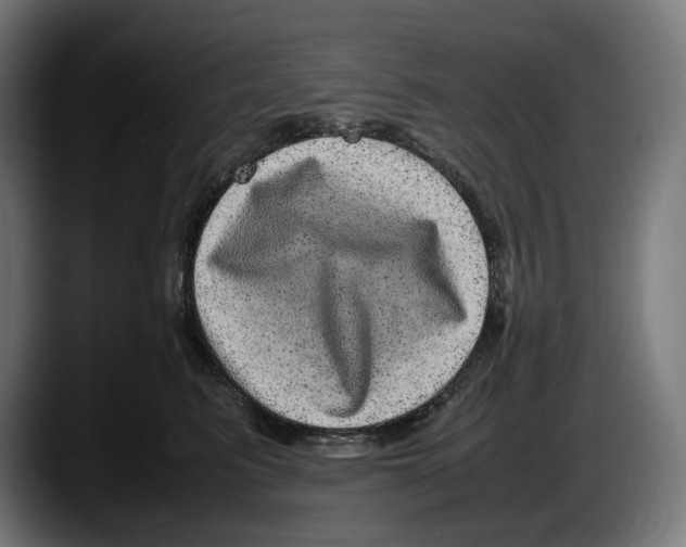 X0000087580615200705251842