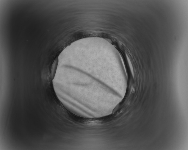 X0000087580617200705251842