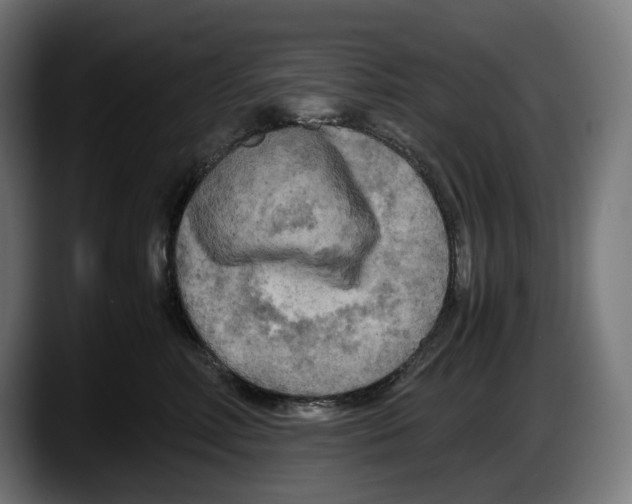 X0000087580618200705251842