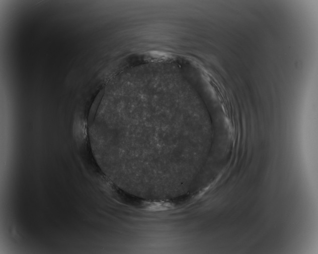 X0000087580621200705251842