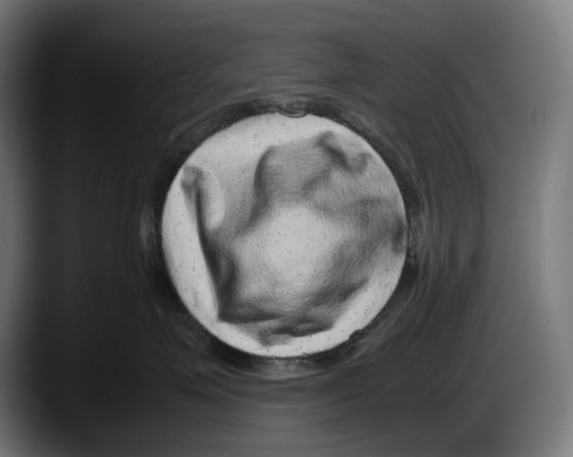 X0000087580623200705251842