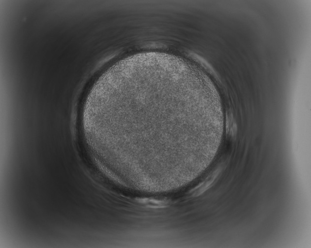 X0000087580627200705251842