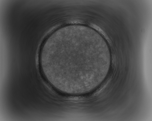 X0000087580629200705251842