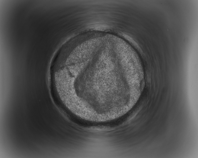 X0000087580630200705251842