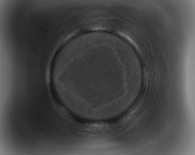 X0000087580631200705251842