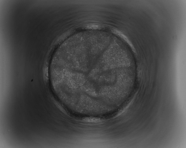 X0000087580633200705251842