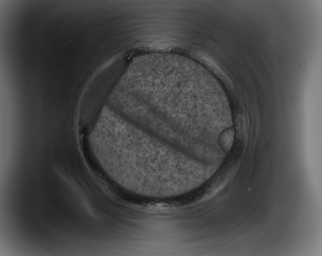 X0000087580634200705251842