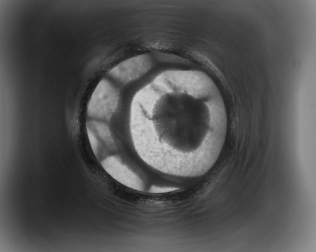 X0000087580635200705251842