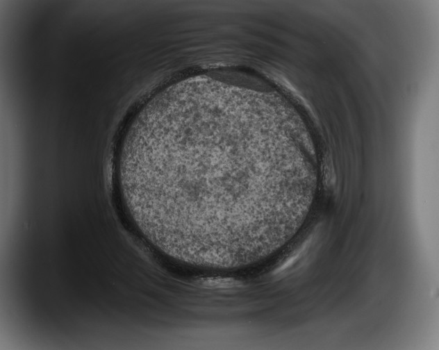 X0000087580637200705251842