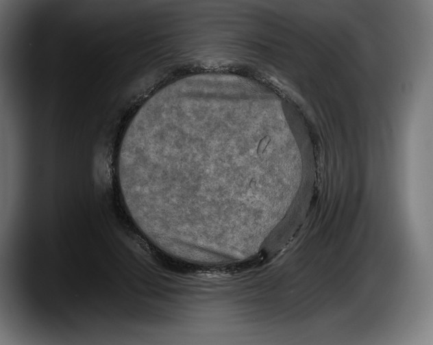 X0000087580644200705251842