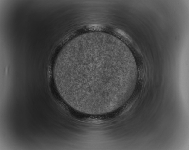 X0000087580648200705251842
