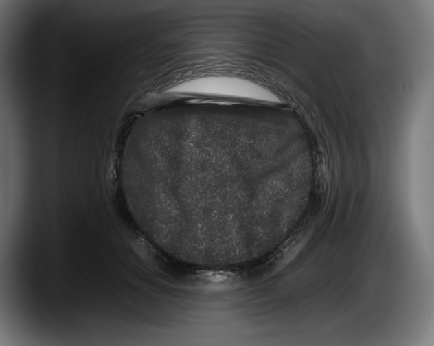 X0000087580654200705251842