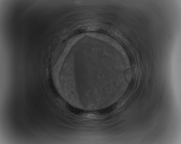 X0000087580655200705251842