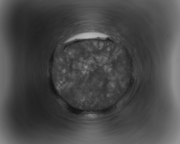 X0000087580658200705251842