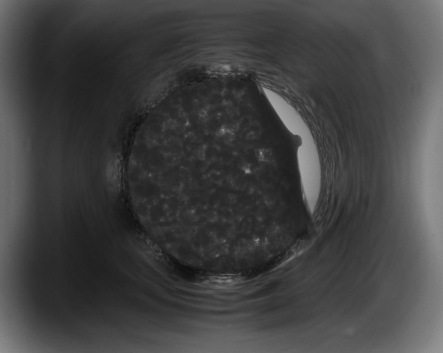 X0000087580659200705251842