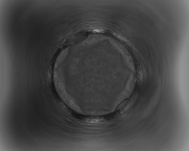 X0000087580661200705251842