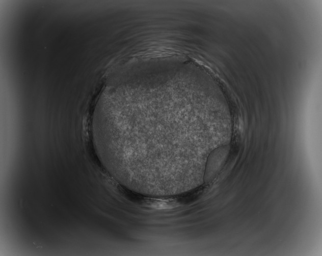 X0000087580663200705251842